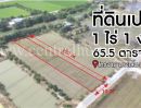 - ที่ดินเปล่า 1-1-65.5 ไร่ ไทรงาม บางเลน นครปฐม