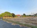 - ขายที่ดินเปล่า แปลงสวยติดถนนสองด้าน บางเสร่ ชลบุรี