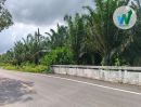  - ที่ดินติดถนนบายพาสสายมหาวิทยาลัยทักษินพัทลุง
