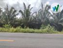  - ที่ดินติดถนนบายพาสสายมหาวิทยาลัยทักษินพัทลุง