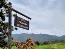 - โครงการ Pirom At Vineyard เขาใหญ่ ภิรมย์ แอท วินยาร์ด