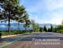 - โครงการ Pirom At Vineyard เขาใหญ่ ภิรมย์ แอท วินยาร์ด