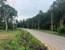  - ขายที่ดิน ทำเลดี ใกล้ทะเล เกาะช้าง จังหวัดตราด