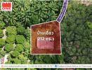 - ที่ดินสวนยาง พร้อมบ้านเดี่ยว เนื้อที่รวม 3-2-62.6 ไร่ อ.ลานสกา