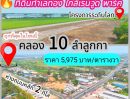  - ขายที่ดิน แบ่งแปลง แปลงละ 1 และ 1.5 ไร่ คลอง 10 ลำลูกกา ปทุมธานี ห่างถนนลำลูกกาประมาณ 3 กม.
