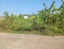 - ขายที่ดินตำบลสุเทพบ้านช่างทองติดถนนคอนกรีตพร้อมโอน