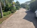 - ขายที่ดินตำบลสุเทพบ้านช่างทองติดถนนคอนกรีตพร้อมโอน