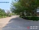  - ขายที่ดินถมแล้ว 313 ตรว.ใกล้ทางเข้า-ออกถนนบางนา-ตราด 26โครงการรอยัล เพลส ด้านหลังติดวิวน้ำ ต้นไม้ล้อมรอบ บรรยากาศดี สมุทรปราการ