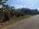  - ขายที่สวนติดถนนคอนกรีตตำบลป่าไผ่สันทรายใกล้สวนนงนุชพร้อมโอน