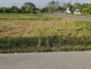  - ขายที่ดินเปล่าติดถนนคลอง 9 ลำลูกกา จังหวัดปทุมธานี