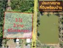  - ขายที่ดินพร้อมบ้าน ตำบลขุนทะเล สุราษฎร์ธานี 3 ไร่ 3งาน 65 ตารางวา