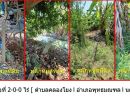  - ที่ดิน พร้อมสวน ที่ดินพื้นที่ 2-0-0 ไร่ ต.คลองโยง อ.พุทธมณฑล จ.นครปฐม