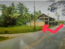  - ขายที่ดินติดถนนสายล่าง ตำบลมะลวน อำเภอพุนพิน