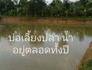  - ที่ดินขนาด 3 ไร่ ตำบลหนองประดู่ อำเภอเลาขวัญ จังหวัดกาญจนบุรี