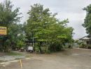 - ขายที่ดินหนองปรือ พัทยาใต้ 200 ตรว. ซ.หนองกระบอกสุขุมวิทพัทยา87 ใกล้แม็คโครพัทยาใต้-1.6กม. อ.บางละมุง ชลบุรี