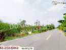 - ที่ดินคลองหก 200 ตร.ว. ปทุมธานี ใกล้มหาวิทยาลัยเทคโนโลยีราชมงคลธัญบุรี