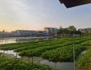  - ขายที่ดินเปล่า ตืดแม่น้ำท่าจีน ตรงสุดหมู่บ้านกฤษดานคร 27 มารีน่า หอมเกร็ด สามพราน นครปฐม ราคาดีทำเลดีมาก