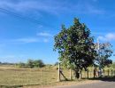  - ที่นาแปลงสวย ติดถนนลาดยาง ในชุมชน อ.นางรอง บุรีรัมย์