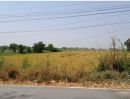  - ขายที่ดินติดถนน 7 ไร่ บ้านแพรก อยุธยา (ถนน อ่างทอง-ท่าเรือ)