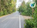  - ขายด่วนที่ดินติดถนนสายสามแยกศาลาหัวไส-ไทรงาม อำเภอควนขนุน