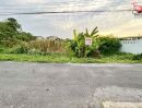  - ขายที่ดินเปล่า 300 ตร.ว.พหลโยธิน 54/1 ซอยแม่จีน คลองถนน