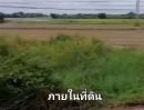  - ขายที่ดิน 24ไร่ ติดถนนสายเอเซียฝั่งขาเข้า กทม ไร่ละ 2.9 ล้าน