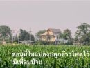  - ขายที่ดินตำบลช้างดาวบ้านทุ่งละครติดน้ำตกลำธารน้ำโฉนด