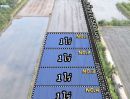  - ที่ดินเหมาะทำบ้านสวนเกษตร คลอง 11 อ.หนองเสือ จ.ปทุมธานี แบ่งล็อกละ 1 ไร่มี 5 แปลง ราคาไร่ละ 750,000 บาท