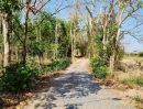  - ขายที่ดิน ติดถนนบ้านนา-แก่งคอย ตำบลชะอม อำเภอแก่งคอย สระบุรี