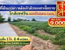  - ขายที่ดิน ในเมืองโคราชใกล้เซฟวัน #ที่ดินจัดล็อค เฉลี่ย.(1 ไร่.ะ3.6 ล้าน) | หลังเจ้าสัวโคราช. | *น้ำไม่ท่วม. | ราคาถูกพิเศษ หายาก!! ( ถ. คอนกรีต )