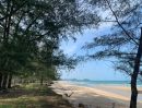  - ขายที่ดินหาด บ้านกรูด หาดส่วนตัว เนื้อที่ 200 ตารางวา
