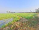  - ขายที่นาดินดีน้ำดี เหมาะปลูกข้าว ทำไร่นาสวนผสม ปลูกผักเลี้ยงปลา