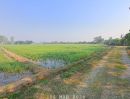  - ขายที่นาดินดีน้ำดี เหมาะปลูกข้าว ทำไร่นาสวนผสม ปลูกผักเลี้ยงปลา