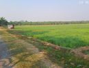  - ขายที่นาดินดีน้ำดี เหมาะปลูกข้าว ทำไร่นาสวนผสม ปลูกผักเลี้ยงปลา