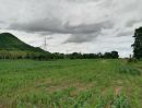  - ขายที่ดิน นส3 ก.24 ไร่ หน้าติดถนน หลังเกือบติดภูเขา ที่ดินแนวราบในหุบเขา