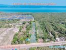 - ที่ดินราคาถูกอยู่ไม่ไกลจากสนามบินภูเก็ต ติดถนนสายท่าเรือ-เมืองใหม่ การคมนาคมเดินทางสะดวก มีไฟฟ้าประปาผ่าน