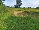  - ขายที่ดินโฉนด อำเภอห้วยแถลง จ.นครราชสีมา Land for Sale in Huai Thalaeng, Nakhon Ratchasima
