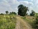  - ขายที่ดินโฉนด อำเภอห้วยแถลง จ.นครราชสีมา Land for Sale in Huai Thalaeng, Nakhon Ratchasima
