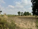  - ขายที่ดินโฉนด อำเภอห้วยแถลง จ.นครราชสีมา Land for Sale in Huai Thalaeng, Nakhon Ratchasima