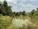  - ขายที่ดินโฉนด อำเภอห้วยแถลง จ.นครราชสีมา Land for Sale in Huai Thalaeng, Nakhon Ratchasima