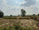  - ขายที่ดินโฉนด อำเภอห้วยแถลง จ.นครราชสีมา Land for Sale in Huai Thalaeng, Nakhon Ratchasima