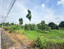  - ที่ดินเปล่า 266 ตร.วา ท่าอิฐ 15 แยกตาลเดียว - วัดบางบัวทอง นนทบุรี