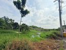  - ที่ดินเปล่า 266 ตร.วา ท่าอิฐ 15 แยกตาลเดียว - วัดบางบัวทอง นนทบุรี