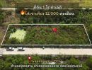 - ที่ดินให้เช่าขนาด 1 ไร่ ใกล้แหล่งสำคัญ เดินทางสะดวก เชื่อมต่อทุกจุดหลัก ต.คลองสาม อ.คลองหลวง จ.ปทุมธานี
