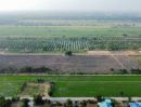  - ขายที่ดิน 2 ไร่ ราคาดี ทำเลคลอง 11 หนองเสือ ปทุมธานี