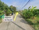  - ขายที่ดินลำลูกกา 200 ตารางวา ซอยสุสวาท6 ย่านชุมชน ติดถนนคอนกรีต ลาดสวาย ปทุมธานี