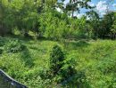  - ขายที่ดินบ้านแหวนหางดงทำเลดีส่วนตัวร่มรื่นพร้อมโอน