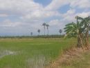  - ขายที่ดินเกษตรกรรม ตำบลปากนคร อำเภอเมือง จังหวัดนครศรีธรรมราช