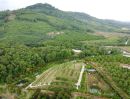  - ขายสวนทุเรียน 11 ไร่ พร้อมบ้านสวยสไตส์รีสอร์ท วิวเขา