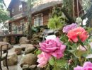 - ขายบูติกโฮเทล เรสเทอรองร้านอาหารหรือปรับบ้านสวยส่วนตัว Special sale Hotel Chiangmai